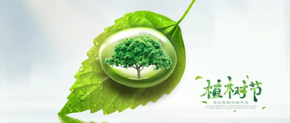 【精神文明建設(shè)】不負好春光 植樹添新綠│鄭投產(chǎn)業(yè)園組織開展植樹活動